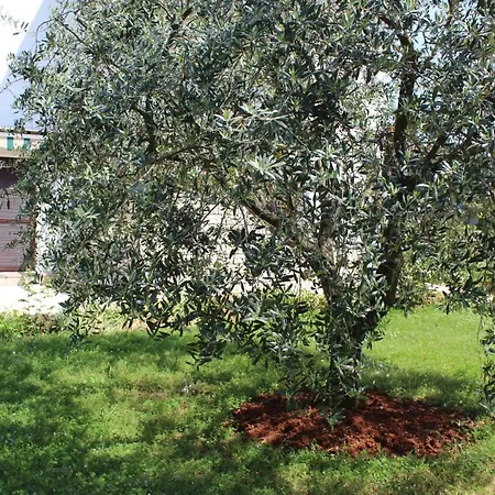 Laura's Facing The Garden דירה